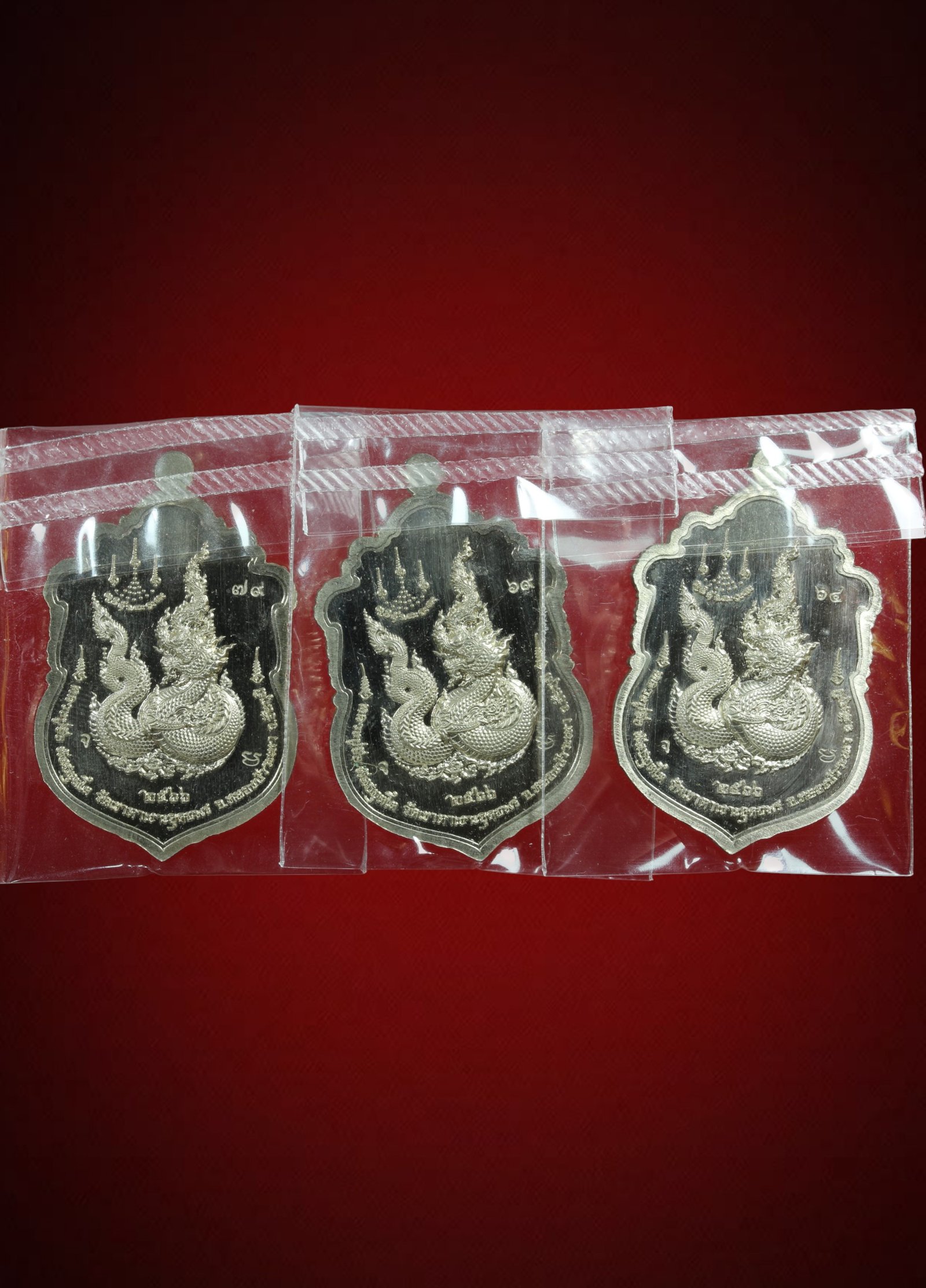 3 องค์ เหรียญเสมานาคราชบันดาลทรัพย์ หน้ากากเงิน หลวงปู่จื่อ พันธมุตโต วัดเขาตาเงาะอุดมพร จ.ชัยภูมิ ปี2566